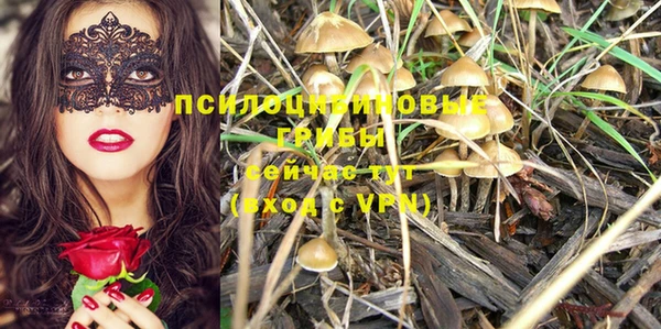 герыч Козельск