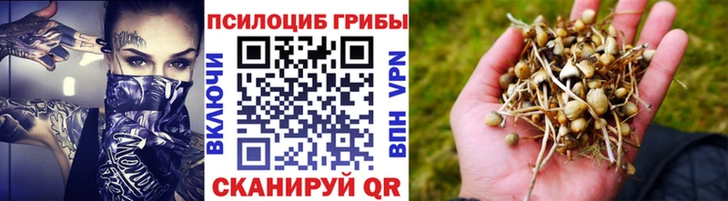 продажа наркотиков  Кыштым  ссылка на мегу сайт  Псилоцибиновые грибы ЛСД 